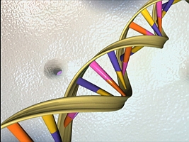 DNA strand (Genome.gov)