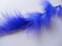 Blue feather (Siona Karen/Flickr)