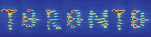 Cells in hydrogel culture spell out Toronto (Lian Leng, University of Toronto)