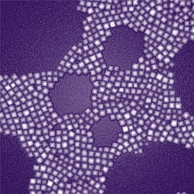 Transmission electron microscopy image of nanoparticles designed for deep-tissue imaging. (Zhipeng Li, University at Buffalo)