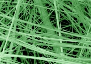 Vanadium oxide bronze nanowires, color-enhanced image (Peter Marley, University at Buffalo)