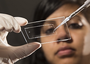 Lab-on-a--chip device (Brigham Young University)