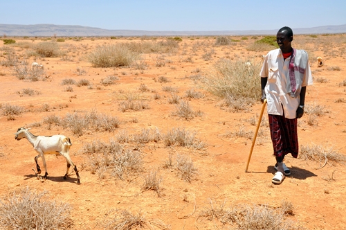 Drought in East Africa