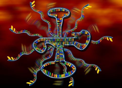 RNA molecule illustration