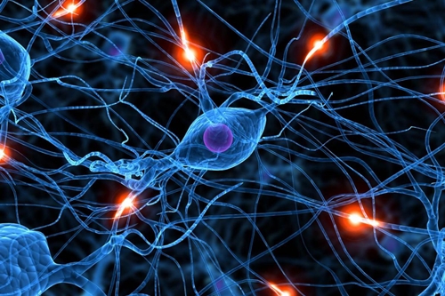 Nerve cells illustration