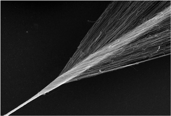 Carbon nanotubes spun into fibers