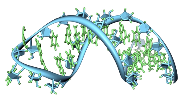 RNA illustration