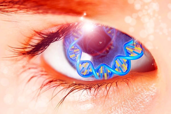 Retinal gene therapy
