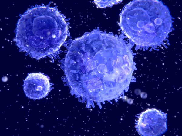 T-cells illustration