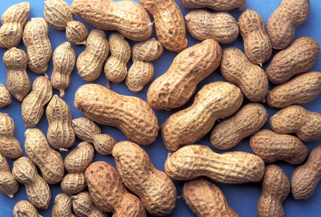 Peanutes in shells