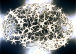 Brain cell networks