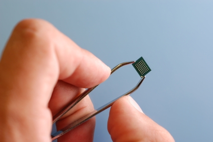 Microchip in tweezers