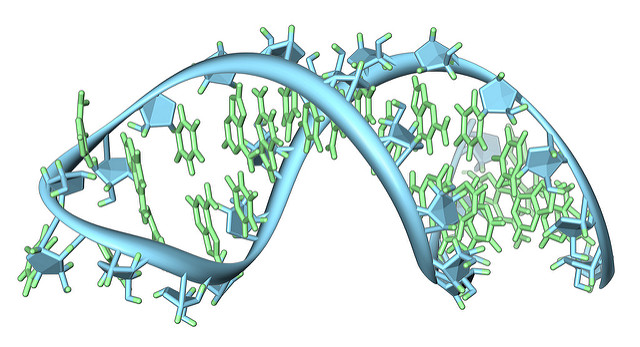 RNA strand illustration