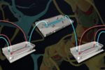 Organ-on-Chip Model Simulates Blood-Brain Barrier