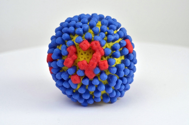 3-D print of influenza virus