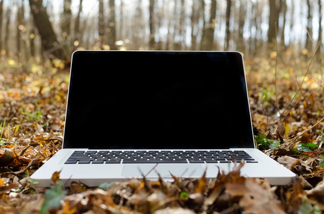 Laptop in the woods