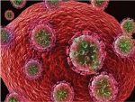 HIV released from cell