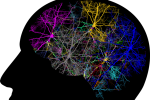 Brain activity graphic