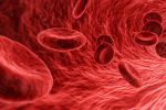 Red blood cells illustration