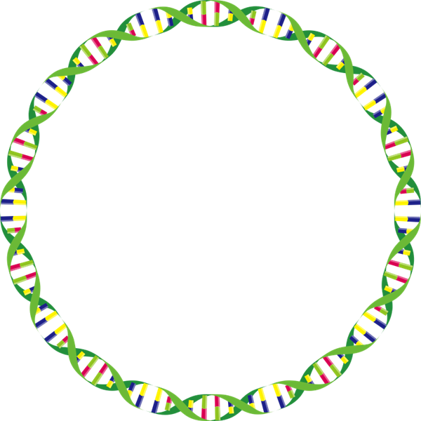 DNA plasmid illustration