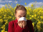 Sneezing woman with ragweed