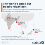 Map: Deaths from Nipah virus in Asia