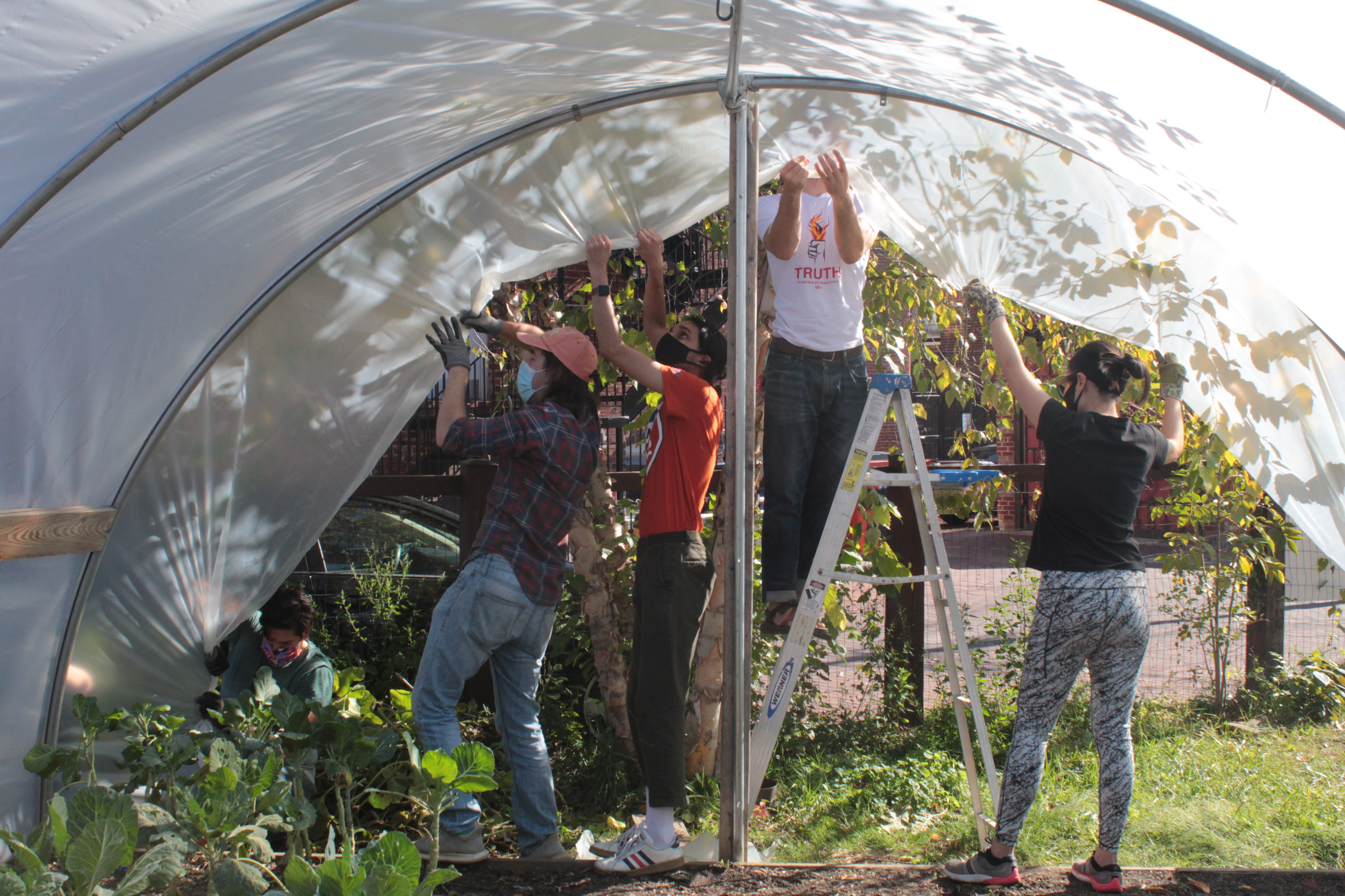 Workers in the hoop house, with plastic cover