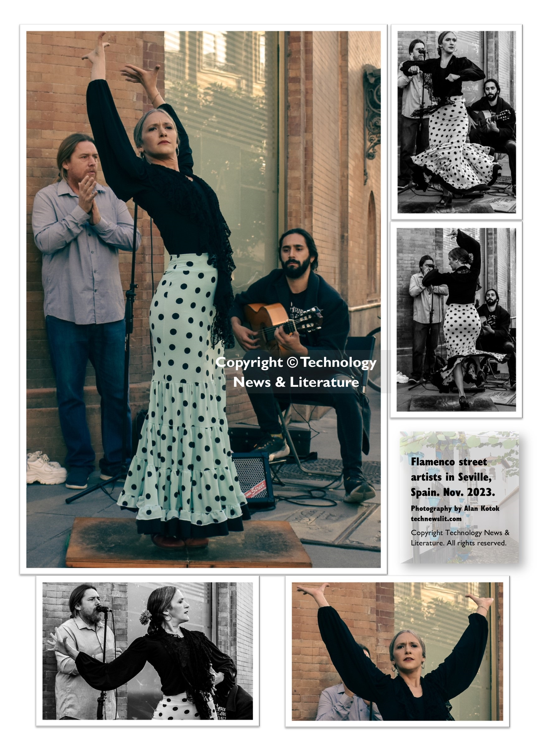 Flamenco poster with watermark